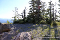 Timberline Rd View South-6984