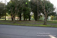 East Morland