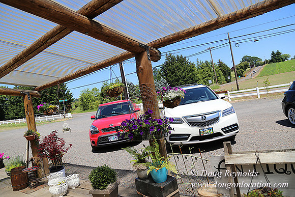 Little Door Farm Market-5399