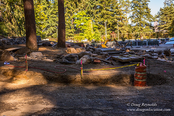 Constuction Washington Park