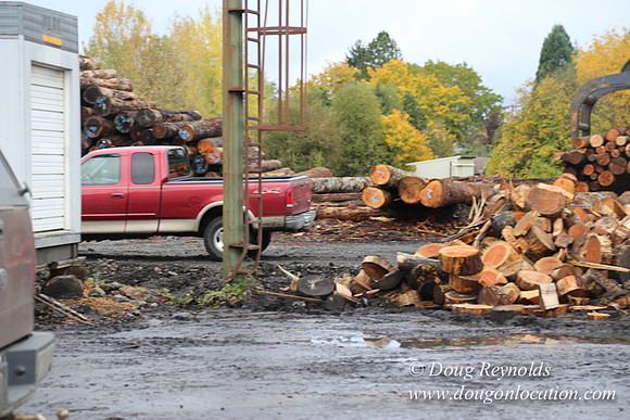 Saw Mill and Lumber Yard