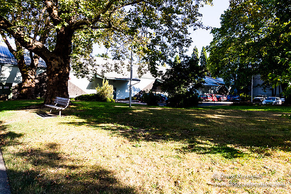 Portland Tennis Courts 3