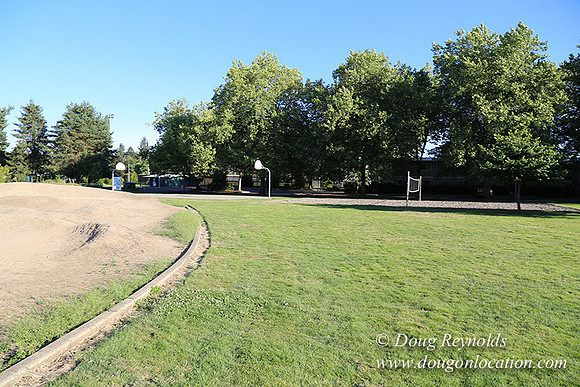 Lincoln Park-0588
