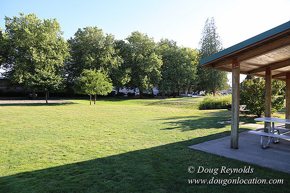 Lincoln Park-0574