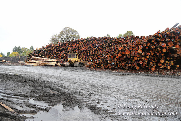 Saw Mill and Lumber Yard