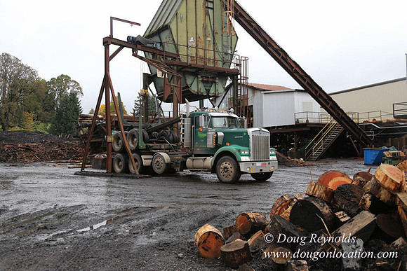 Saw Mill and Lumber Yard