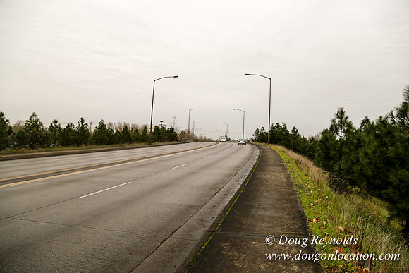 Marine Dr Overpass-5233