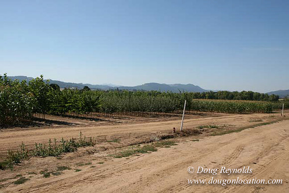 Farm 4 has Barns Shops they grow Wheat and Corn.  in the Portland Zone