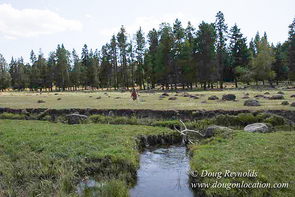 Ranch 18 South side of Hwy  has 2500 Acres of green fields Creeks water crossing Bridges on a Large Lake and miles of Dirt roads Oak trees  Forest land ATV Trails cows