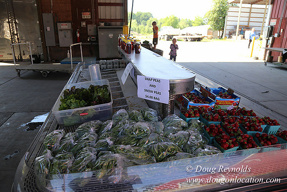 Vahan's Farm & Market-5177
