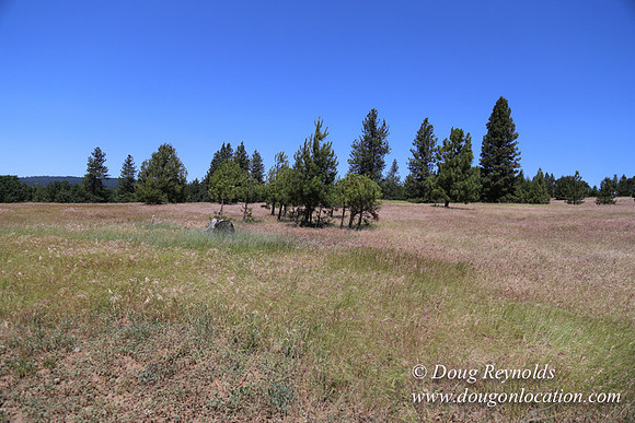 Brothers Ranch-8463