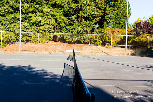 Kenilworth Courts