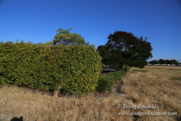 East End S Runway-5028