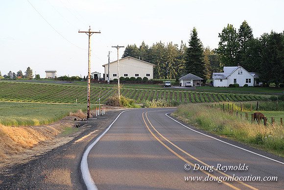 Mountaindale Rd-6417