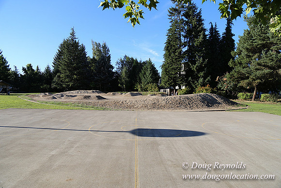 Lincoln Park-0624