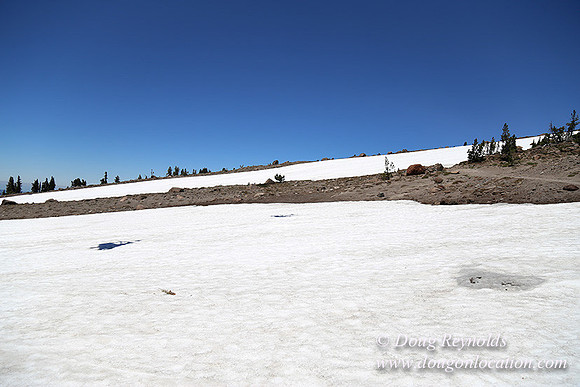Timber Line-5395