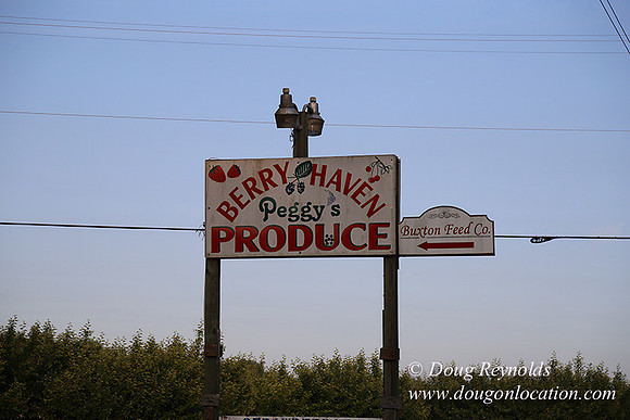 peggy's Produce-5090