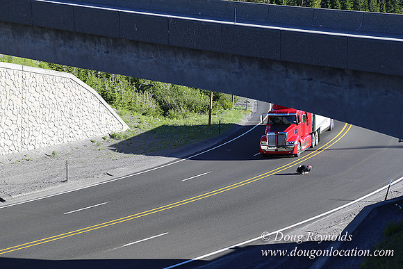 CMD Western Star Production Photo