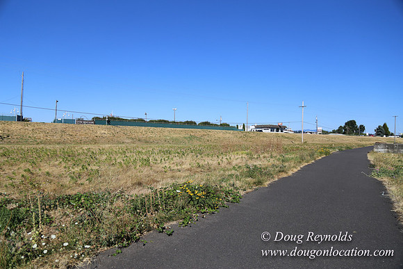 West End S Runway-4939