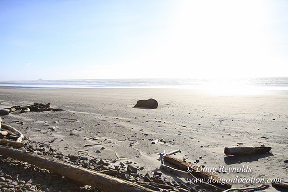 33 Beach A89-1436