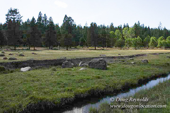 Ranch 18 South side of Hwy  has 2500 Acres of green fields Creeks water crossing Bridges on a Large Lake and miles of Dirt roads Oak trees  Forest land ATV Trails cows