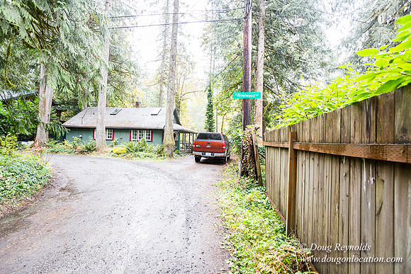 Collins Cabin