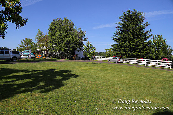 "2 Barns", "2 car garage", "40+ Acres", "PDX Zone", Pool, "White Fence", cows, "farm House", "rap around dive", "well maintained"