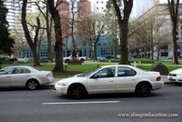 Chapman Square-0443