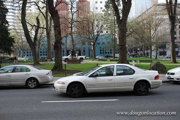 Chapman Square-0443