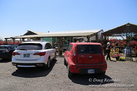 Little Door Farm Market-5387