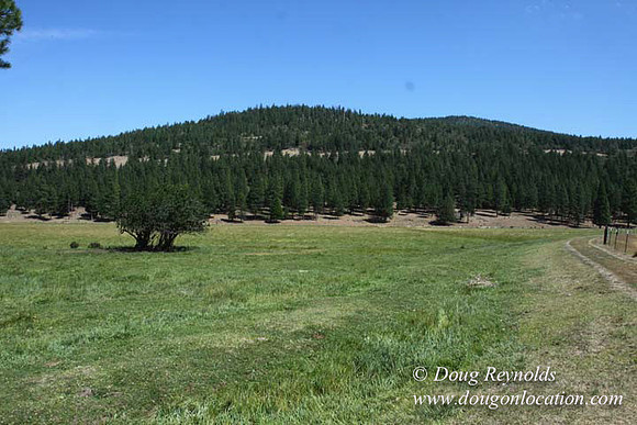 Ranch 18 South side of Hwy  has 2500 Acres of green fields Creeks water crossing Bridges on a Large Lake and miles of Dirt roads Oak trees  Forest land ATV Trails cows