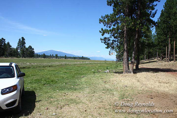 Ranch 18 South side of Hwy  has 2500 Acres of green fields Creeks water crossing Bridges on a Large Lake and miles of Dirt roads Oak trees  Forest land ATV Trails cows