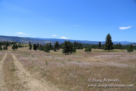 Brothers Ranch-8416