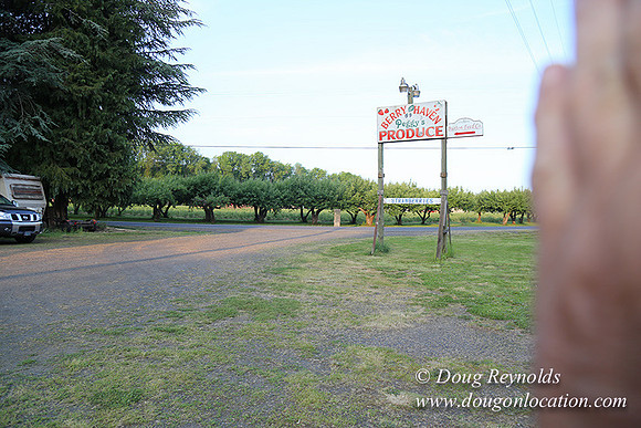 peggy's Produce-5101