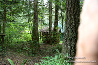 Gary's Cabin-7535