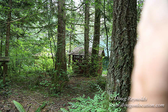 Gary's Cabin-7535