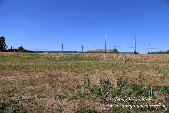 West End S Runway-4937