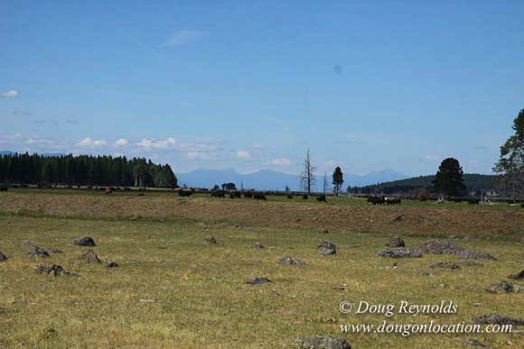 Ranch 18 South side of Hwy  has 2500 Acres of green fields Creeks water crossing Bridges on a Large Lake and miles of Dirt roads Oak trees  Forest land ATV Trails cows