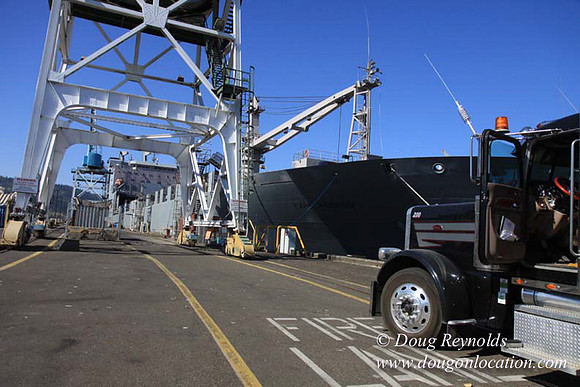 Ship Yard-0582