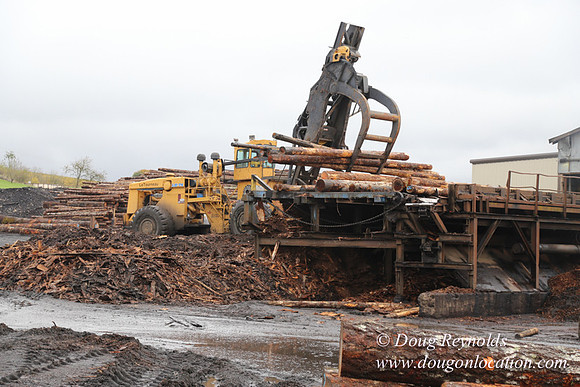 Saw Mill and Lumber Yard