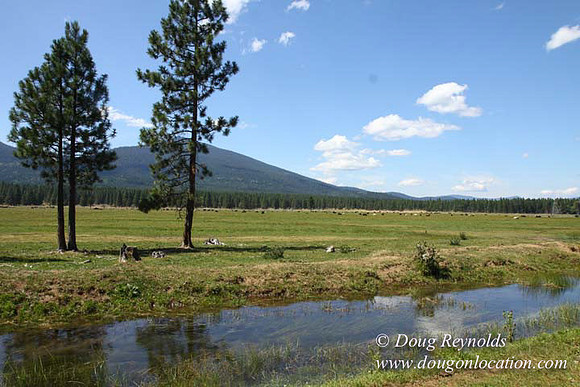 Ranch 18 South side of Hwy  has 2500 Acres of green fields Creeks water crossing Bridges on a Large Lake and miles of Dirt roads Oak trees  Forest land ATV Trails cows