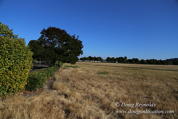 East End S Runway-5029