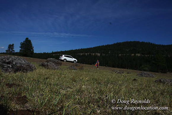 Ranch 18 South side of Hwy  has 2500 Acres of green fields Creeks water crossing Bridges on a Large Lake and miles of Dirt roads Oak trees  Forest land ATV Trails cows