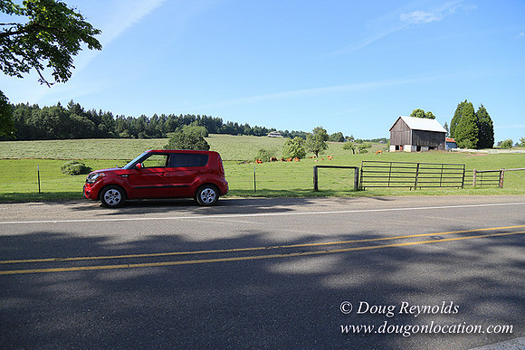 Helvetia rd Church-6050