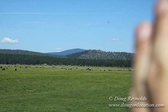 Ranch 18 South side of Hwy  has 2500 Acres of green fields Creeks water crossing Bridges on a Large Lake and miles of Dirt roads Oak trees  Forest land ATV Trails cows