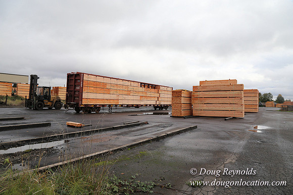 Saw Mill and Lumber Yard