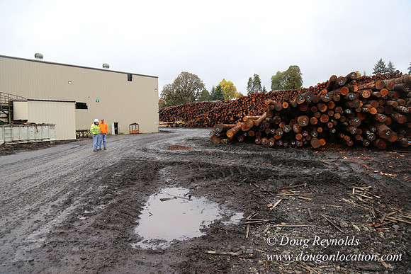 Saw Mill and Lumber Yard