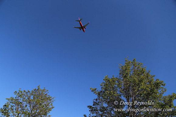 East End N Runway-4991
