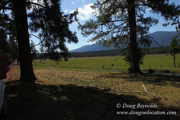 Ranch 18 South side of Hwy  has 2500 Acres of green fields Creeks water crossing Bridges on a Large Lake and miles of Dirt roads Oak trees  Forest land ATV Trails cows