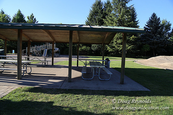 Lincoln Park-0564